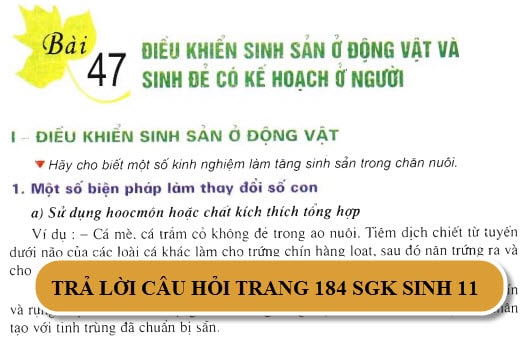 Cách các biện pháp tránh thai sinh 11 an toàn và hiệu quả