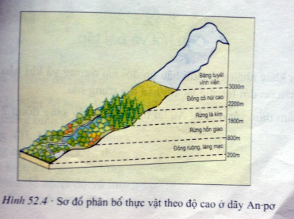 phân bố thực vật theo độ cao dãy an pơ