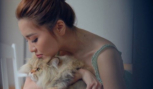 Lời bài hát Chú Mèo, MV lyrics chu meo - Bích Phương