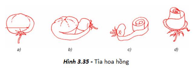 Tỉa hoa hồng từ quả cà chua