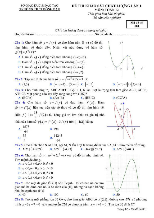 Đề thi thử THPT 2019 môn Toán trường THPT Đồng Đậu Vĩnh Phúc trang 1
