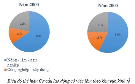 Biểu đồ thể hiện cơ cấu lao động VN năm 2000 và 2005