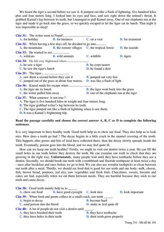 Đề thi Tiếng Anh vào 10 THPT Đồng Đậu lần 1 mã đề 101 trang 3