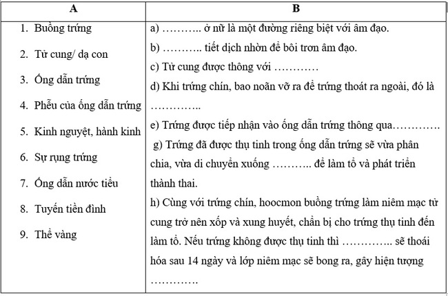 Tìm hiểu về cơ quan sinh dục nữ