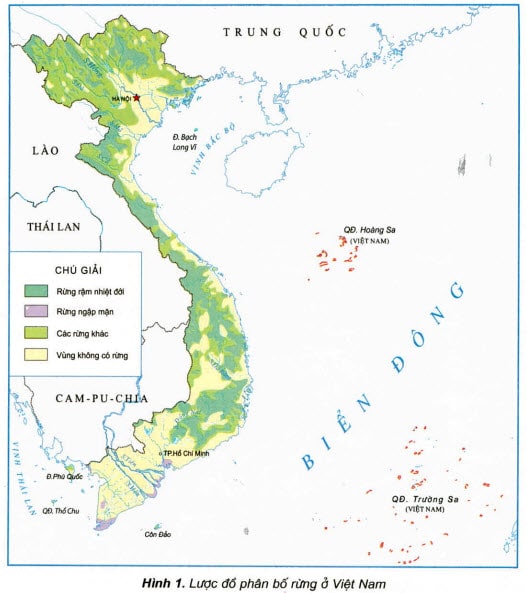 Trả lời câu hỏi trang 79 bài 6 Địa Lí 5