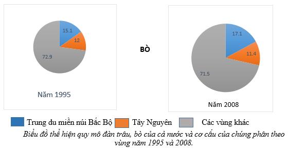 Biểu đồ cơ cấu đàn bò cả nước năm 1995 và 2008