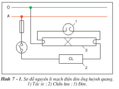 Thực hành trang 34 SGK Công nghệ 9