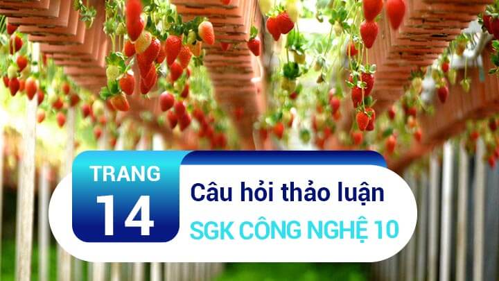 Câu hỏi thảo luận trang 14 SGK Công nghệ 10