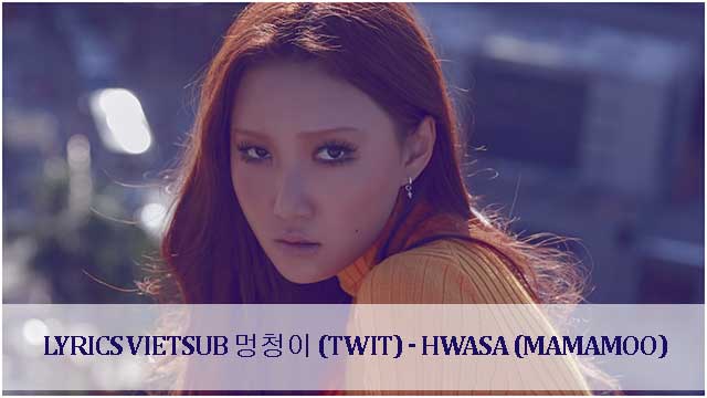 Lyrics vietsub 멍청이 (twit) - Hwasa (MAMAMOO)