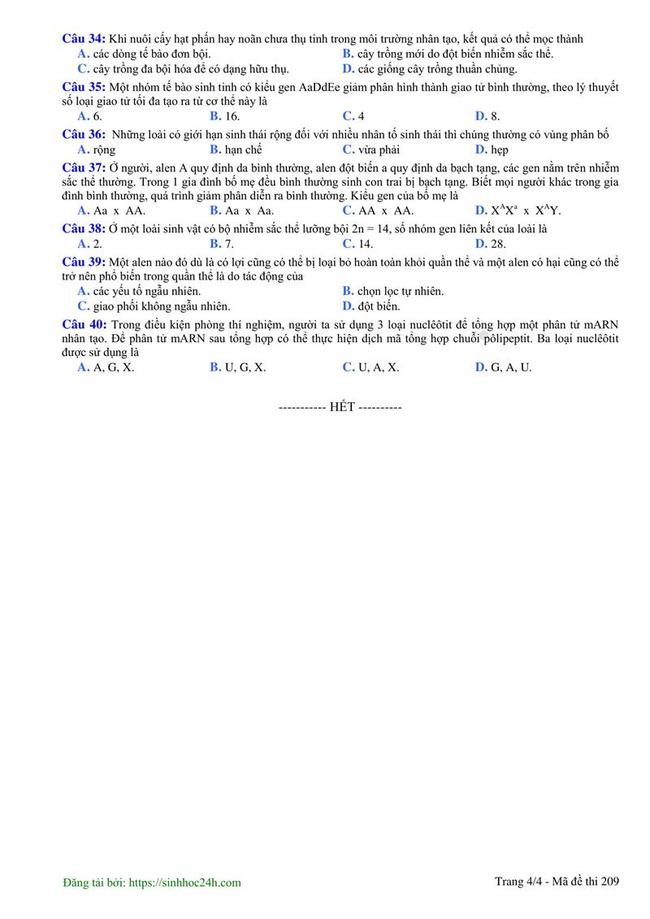 Đề thi thử môn Sinh THPT năm 2019 trường THPT Liễn Sơn - Vĩnh Phúc lần 3 trang 4