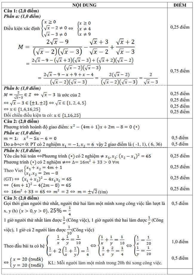 Đáp án Đề thi thử toán vào 10 THPT Đức Trí - Kiên Giang trang 1