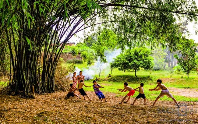 Bài văn mẫu thuyết minh về cây tre Việt Nam hay nhất
