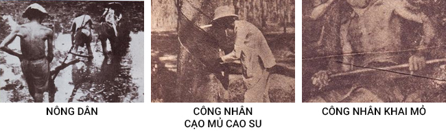Phân hoá xã hội Việt Nam trong cuộc khai thác lần thứ nhất của thực dân Pháp