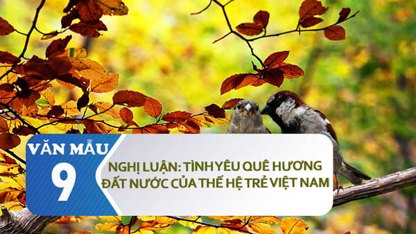 Nghị luận: Tình yêu quê hương đất nước của thế hệ trẻ Việt Nam ngày nay
