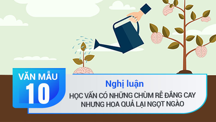 Nghị luận Học vấn có những chùm rễ đắng cay nhưng hoa quả lại ngọt ngào