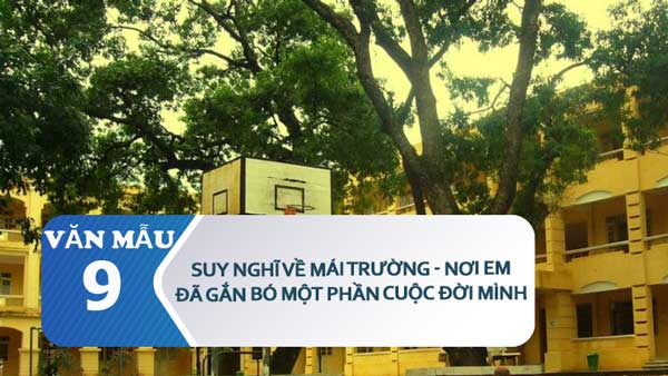 Suy nghĩ về mái trường, nơi em đã gắn bó một phần cuộc đời của mình