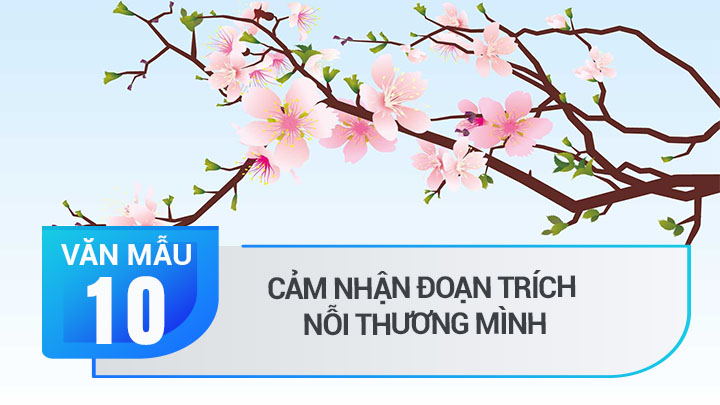 Cảm nhận đoạn trích Nỗi thương mình trong Truyện Kiều – Nguyễn Du