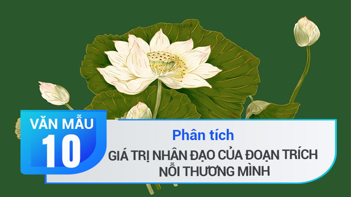 Phân tích giá trị nhân đạo của đoạn trích Nỗi thương mình