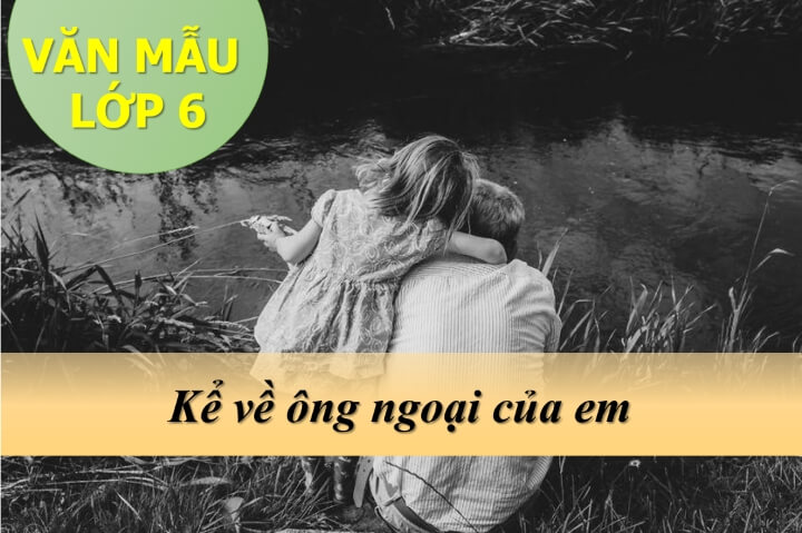 VÄƒn Máº«u Ká» Vá» Ong Ngoáº¡i Cá»§a Em Lá»›p 6 Hay Nháº¥t