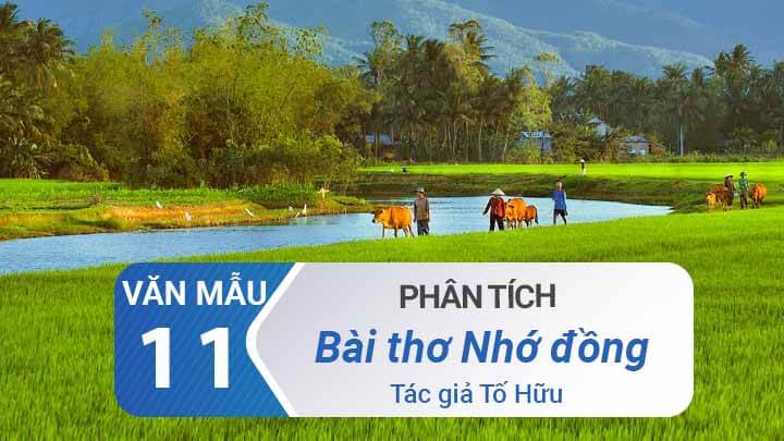 Phân tích bài thơ Nhớ đồng của Tố Hữu