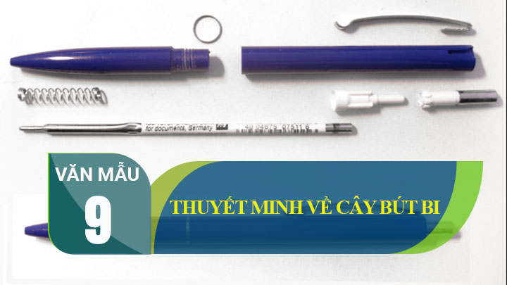Các dạng cây bút bi phổ biến trên thị trường và đặc điểm của chúng?