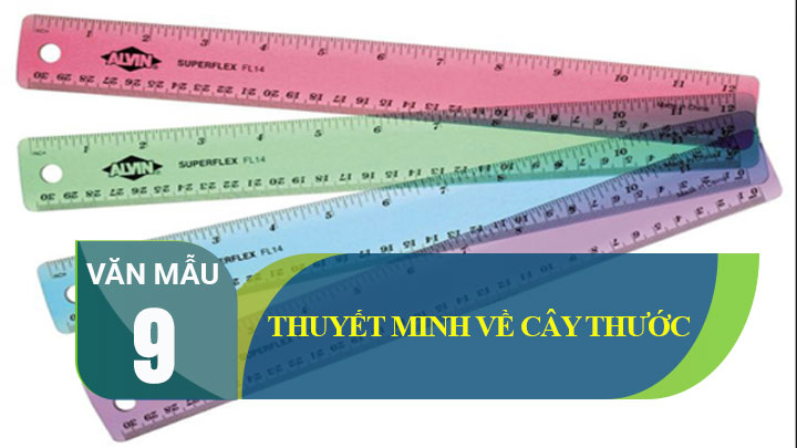 Thuyết Minh Về Cây Thước Kẻ | Những Bài Văn Hay Thuyết Minh Về Cây Thước  Lớp 9 | Văn Mẫu 9