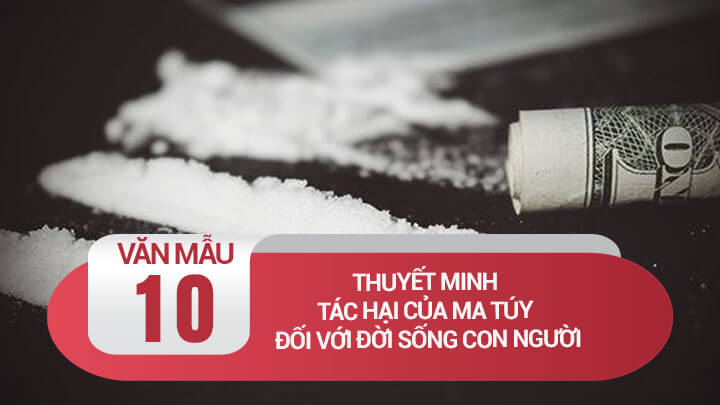 Thuyết minh tác hại của ma túy đối với đời sống con người