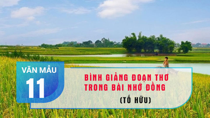 Bình giảng đoạn thơ trong bài Nhớ đồng của Tố Hữu