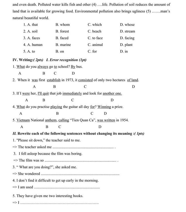 Đề thi thử môn Anh vào lớp 10 trường THPT Ngô Quyền - Đồng Nai trang 4