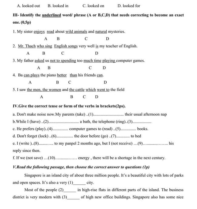 Đề thi thử môn Anh vào lớp 10 trường THPT Trần Phú - Đà Nẵng trang 2