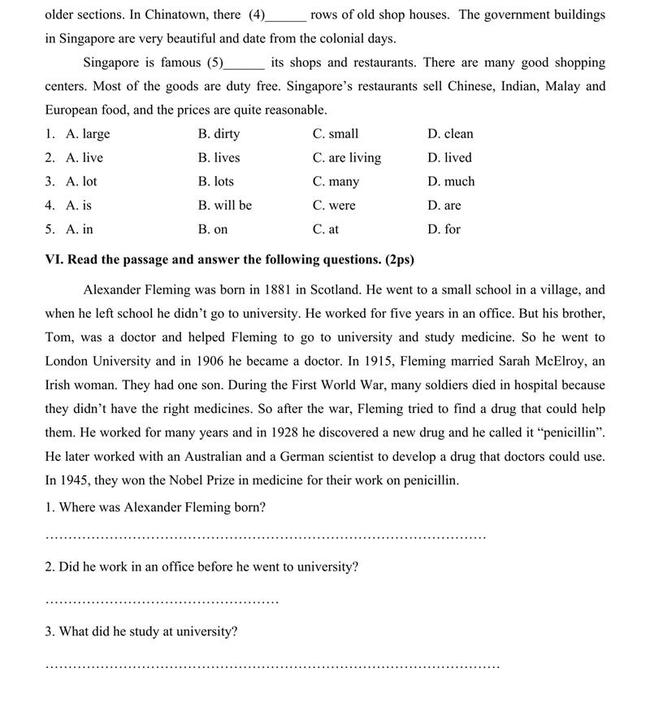 Đề thi thử môn Anh vào lớp 10 trường THPT Trần Phú - Đà Nẵng trang 3