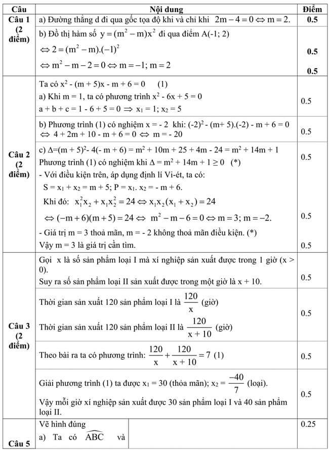 Đáp án Đề thi thử toán vào 10 THPT Nguyễn Đình Chiểu - Tiền Giang trang 1
