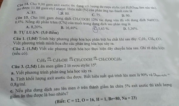 Đề thi học kì 2 lớp 9 môn Hóa Quảng Nam năm 2019 trang 2