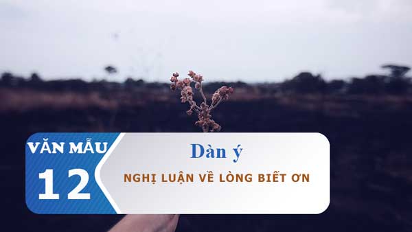 Dàn ý nghị luận về lòng biết ơn - DOCTAILIEU.COM