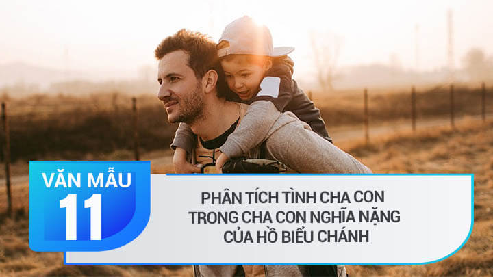 Phân tích tình cha con trong Cha con nghĩa nặng của Hồ Biểu Chánh