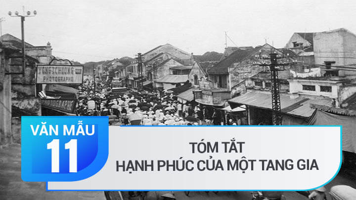 Tóm tắt Hạnh phúc của một tang gia