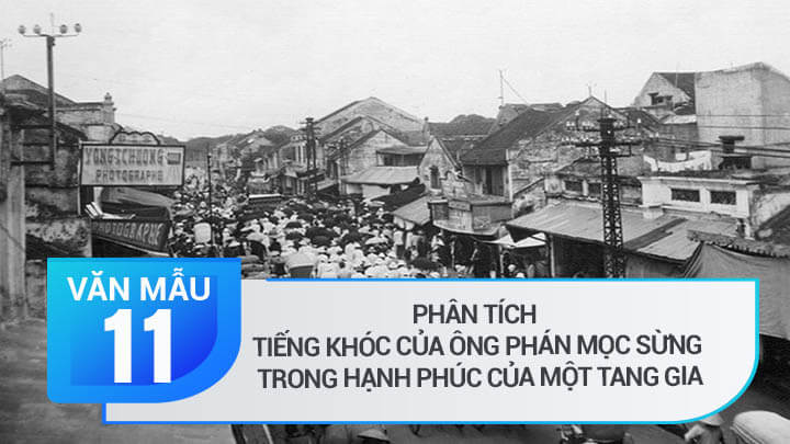 Phân tích tiếng khóc của ông Phán mọc sừng trong Hạnh phúc của một tang gia