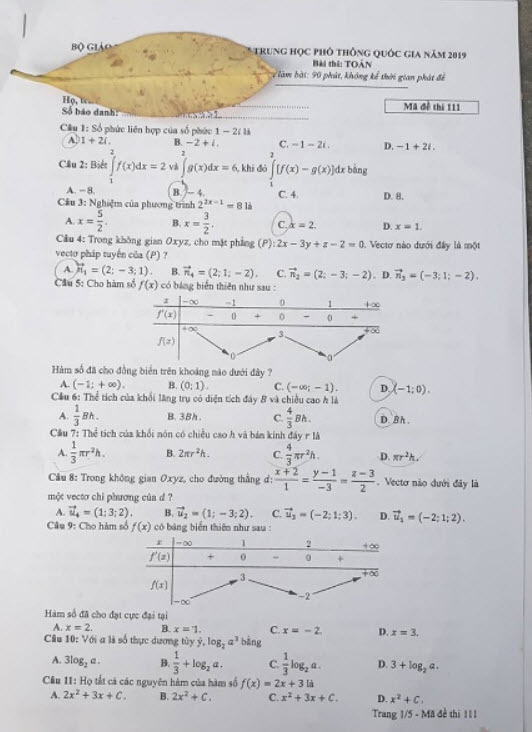 đề thi THPT quốc gia 2019 môn Toán mã đề 111 1