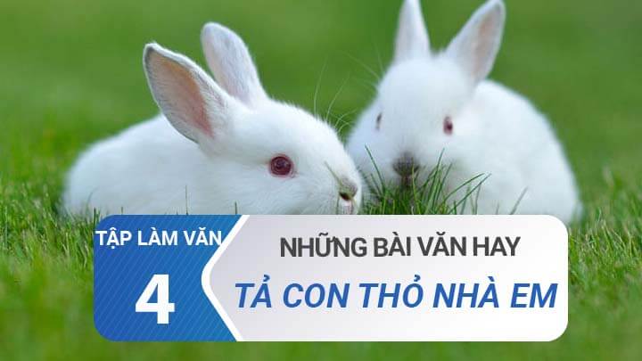 Văn mẫu Tả con thỏ nhà em  - Tập làm văn lớp 4