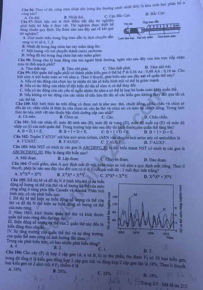 Đề thi THPTQG 2019 môn Sinh học mã đề 212 trang 2