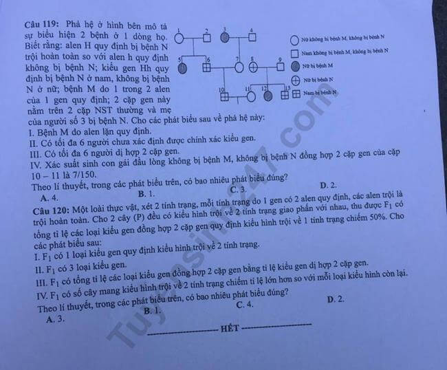 Đề thi THPTQG 2019 môn Sinh học mã đề 212 trang 5