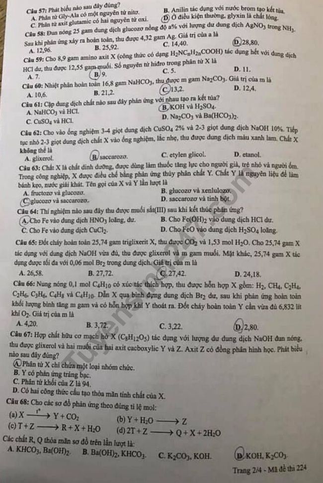 Đề thi THPTQG 2019 môn Hóa học mã đề 224 trang 2