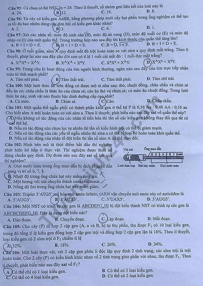 Đề thi THPTQG 2019 môn Sinh học mã đề 206 trang 2