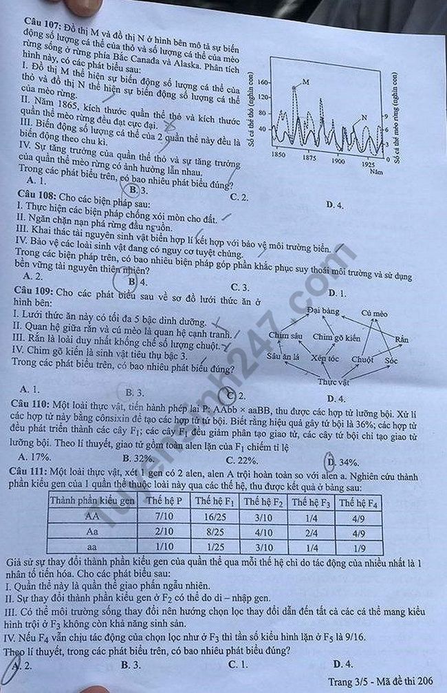 Đề thi THPTQG 2019 môn Sinh học mã đề 206 trang 3