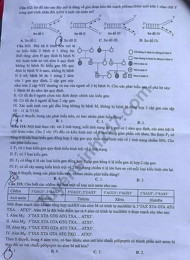 Đề thi THPTQG 2019 môn Sinh học mã đề 206 trang 4