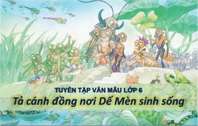 Tả cánh đồng nơi Dế Mèn sinh sống