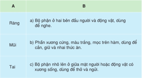 Câu 1 trang 66 SGK Tiếng Việt lớp 5 tập 1