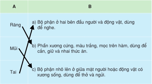 Đáp án Câu 1 trang 66 SGK Tiếng Việt lớp 5 tập 1