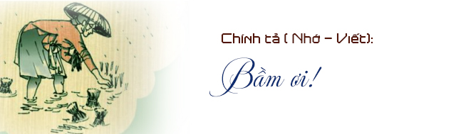 Chính tả Bầm ơi trang 137 Đọc Tài Liệu