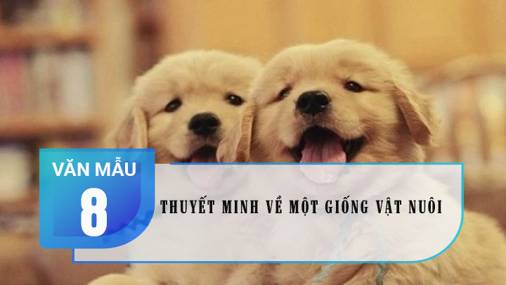 Thuyết minh về một giống vật nuôi